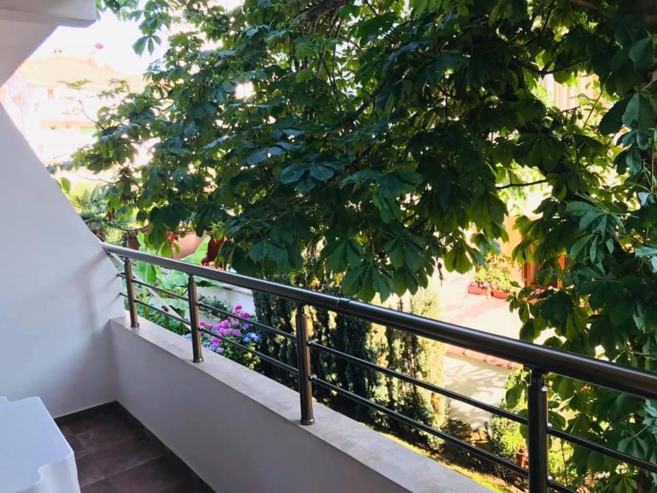 Джорджия Hotell Kiten  Eksteriør bilde